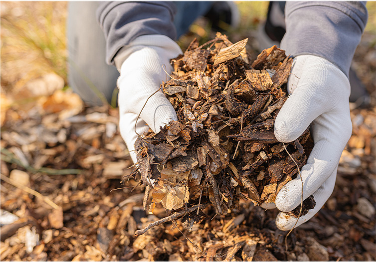 Environment care